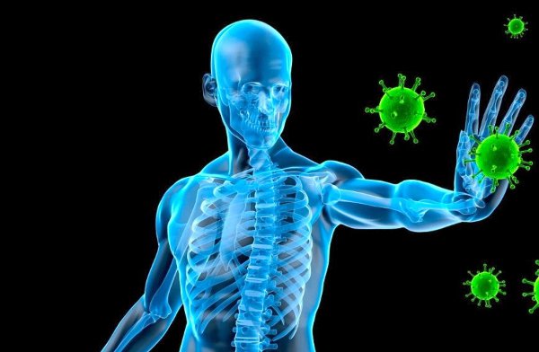 Así lucha el cuerpo contra el ébola inmune