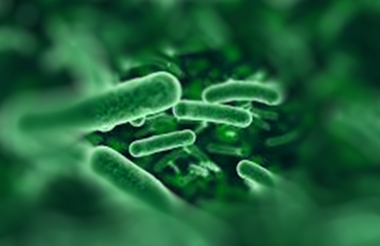 Estrategias para combatir la resistencia a los antibióticos en España