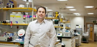 Los tumores primarios envían sondas mensajeras para transformar el ambiente en los órganos metastásicos