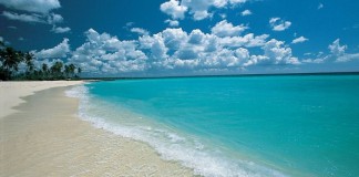 #CODOBIO2015 República Dominicana