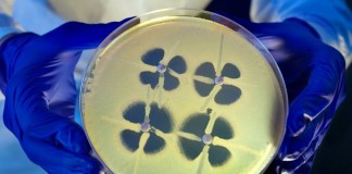 Las nuevas ‘súper bacterias’ resistentes a los antibióticos
