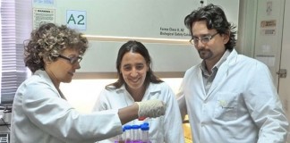 PLOS Pathogens: La investigación sobre el Virus del Dengue está entre las mejores de la última década