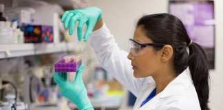 Tres biomarcadores para Esclerosis Múltiple y Alergias