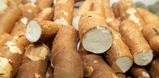 Una cura para la deficiencia de vitamina B6