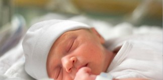 Investigan muertes de recién nacidos causadas por la bacteria Serratia liquefaciens, en Costa Rica