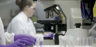 Trombocitemia esencial y policitemia vera