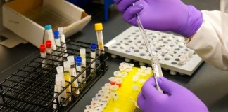 Nanoanticuerpos el futuro en la utilización de anticuerpos