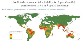 La melioidosis, la nueva amenaza para la salud pública