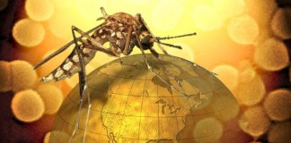 ¿Qué determina la gravedad de la enfermedad provocada por el virus del Nilo Occidental?