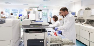 Autoanticuerpos en Neurología: Uso Clínico