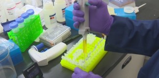 Comparación de siete pruebas diagnósticas para detectar infección por Trypanosoma cruzi en pacientes en fase crónica de la enfermedad de Chagas