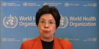 Los casos de microcefalia constituyen una emergencia sanitaria internacional