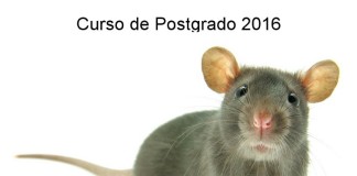 Análisis conductual de modelos animales de desórdenes psiquiátricos o ¿Qué le pasa a mi ratón?