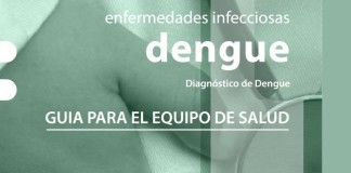 Guía Dengue: Información para el equipo de salud del Ministerio de Salud, Argentina