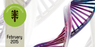 February 2015 Program