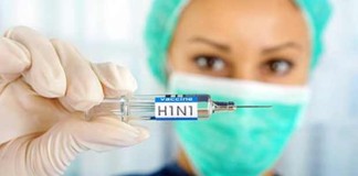 Cambios moleculares en la hemaglutinina contribuyeron a la emergencia de la pandemia de influenza A(H1N1) de 2009