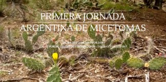 Primera Jornada Argentina de Micetomas