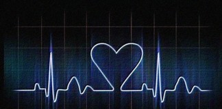 Un defecto en las mitocondrias del corazón causa muerte prematura