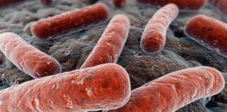 Constatan el origen africano de la tuberculosis