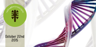 October 22nd 2015 Program