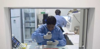 La OPS ayuda a los países de las Américas a prepararse para enfrentar la propagación del virus Zika