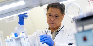 Revisión de metodologías para SOMF