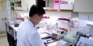 Vasculitis de vasos pequeños de la piel