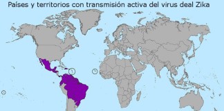 Virus Zika: síntomas, diagnóstico y tratamiento