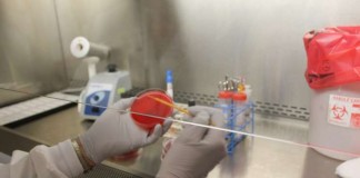 Taller Burkholderia cepacia: Un desafío para los microbiólogos