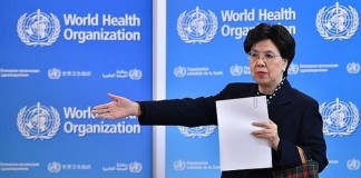 Declaración de la OMS sobre la segunda reunión del Comité de Emergencia del Reglamento Sanitario Internacional (2005) sobre el virus Zika