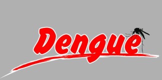 Los casos de dengue serían muchos más que los registrados en América Latina