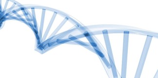 Sólo 473 genes fueron necesarios para sintetizar una ‘célula mínima’