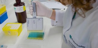 Desarrollan novedoso inmunoensayo para diagnosticar el dengue