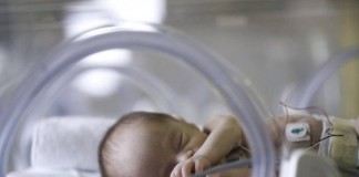 Trombosis en el recién nacido