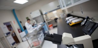 Zika Virus as a Cause of Neurologic Disorders