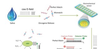 Prueba rápida en saliva puede detectar biomarcadores de cáncer de pulmón