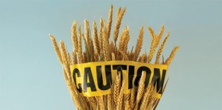 Uno de cada cinco pacientes diagnosticados con síndrome del intestino irritable padece sensibilidad al gluten