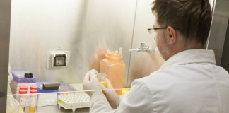 Biomarkers can help guide immune-suppressing treatment after organ transplantation