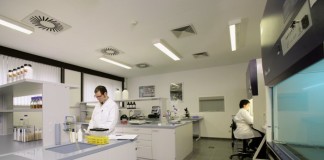 Study: Simple blood test can detect evidence of concussions up to a week after injury