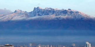 Aedes aegypti se está adaptando a vivir a mayores niveles de altitud