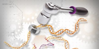 Sistema genómico revolucionario y sus múltiples aplicaciones en la medicina