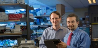 Improved ‘liquid biopsy’ technique from Stanford enhances detection of tumor DNA in blood