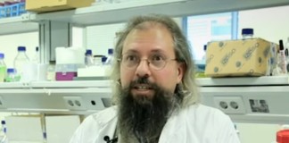 Bacterias resistentes a la radioactividad