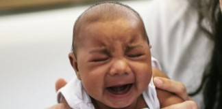 Cómo el virus Zika destruye las células cerebrales en los fetos