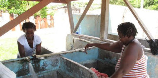 América Latina y el Caribe: ¿Cómo frenar sin datos la transmisión de la esquistosomosis?