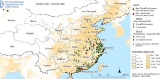 La cepa A(H7N9) puede convertirse en la más mortal de los virus de la influenza aviar