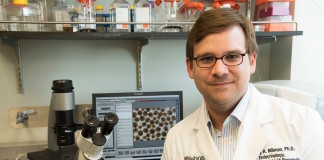 Stem cells from diabetic patients coaxed to become insulin-secreting cells