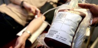 Brasileños crean un método que permite detectar zika en sangre de transfusiones