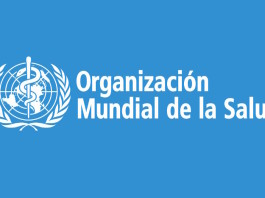 La OMS publica la lista de bacterias para las que se necesitan nuevos antibióticos de manera urgente