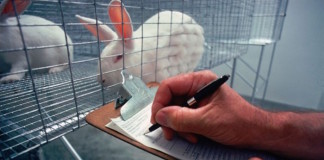 Curso sobre diseño experimental y tamaño de la muestra de trabajos con animales de laboratorio XII Edición